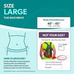 BraceAbility TLSO Full-Body Back Brace Support - Hard Turtle Shell Jacket for Thoracic Kyphosis, Parkinson's Disease, Fractured Spine, Scoliosis, Postural Correction, Post-Surgery Recovery (Large)