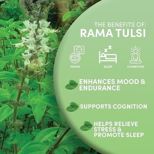 Worldwide Botanicals Organic Holy Basil Tea, 8oz - Tulsi Rama - Loose Leaf Premium Herbal Tea, 100% Pure Tulsi Holy Basil, Fair Trade, Adaptogenic, Kosher