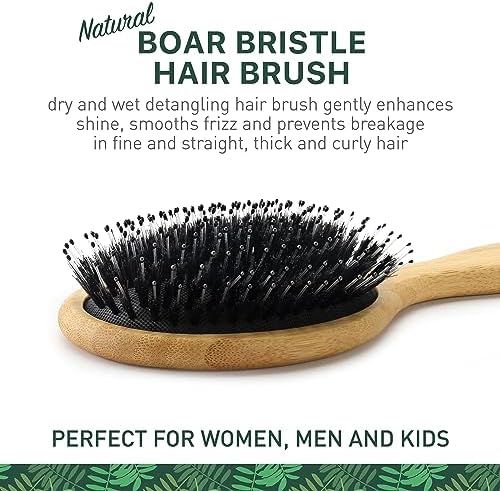 Natural Boar Bristle Hair Brush for Women, Men, Kids; Dry and Wet Detangling Hair Brush Gently Enhances Shine, Smooths Frizz and Prevents Breakage in Fine and Straight, Thick and Curly Hair (oval)