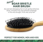 Natural Boar Bristle Hair Brush for Women, Men, Kids; Dry and Wet Detangling Hair Brush Gently Enhances Shine, Smooths Frizz and Prevents Breakage in Fine and Straight, Thick and Curly Hair (oval)