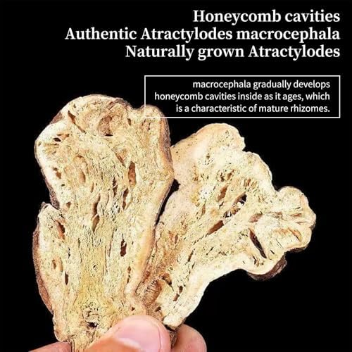 Baihuatang Natural Atractylodes Rhizome Root for Tea 白术 Bai Zhu5.29/150g Premium Cut Slices Sulfur Free, Large head 特级白术 大片