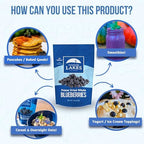 Thousand Lakes Freeze Dried Fruit - Blueberries 1.2 ounces | No Sugar Added | 100% Whole Blueberries