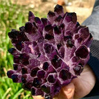 Beautiful Natural Violet Ghost Phantom Quartz Crystal Cluster - Art Sculpture for Home and Office Decoration(750-800g)