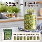Seedboy Organic Non-GMO Sprouting Seeds, Fresh Salad Blend - USA Grown Microgreens Mix with Alfalfa, Broccoli, Radish, Mung Bean & Lentil - 8 oz Bag Makes 8 Quarts / 32 Servings (Salad Blend)