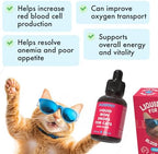 Liquid Iron Supplement for Cats & Dogs B12 + B-Complex + Probiotics Liquid Iron Vitamin Drops for Anemia & Low Energy Promotes Red Blood Cell Health All Ages & Breeds Bacon Flavor 4 oz