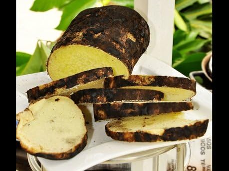 Jamaican Yellow Yam (1 Tuber)