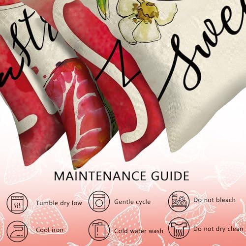 Spring Summer Strawberry Decorative Throw Pillow Covers 20 x 20 Set of 4, Life is Sweet Red Fruit Cushion Case Decor, Sweet Berry Seasonal Home Decoration for Sofa Couch