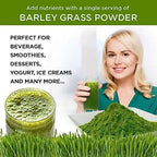 Naveta Barley Grass Powder 100% Pure & Organic, Naveta Pure Organic Barley Grass Juice Powder Japan, 20 Packs/Box (40 Packs)