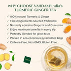 VAHDAM Organic Turmeric Ginger Herbal Tea Bags (100 Pyramid Tea Bags) Caffeine Free, Non GMO | 100% Pure Herbal Blend - Savory & Spicy, Plant-Based Teabags | Resealable Ziplock Pouch