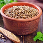 Spicy World Coriander Seeds Whole 3.5 Ounce Bag - Pure, Vegan, All Natural, Product of India (Dhania)