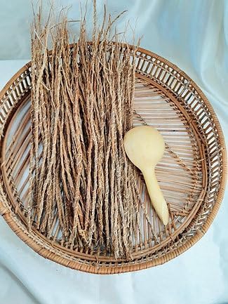 Generic 6 Gongonli Stems - Vetiver Roots - Khamaré - Gongonlili, Brown