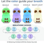 Mindsight 'Breathing Buddha' Guided Visual Meditation | 3 Modes to Slow Your Breathing & Calm Your Mind | Stress & Anxiety Relief | Wellness Gift | Adults, Kids, Classrooms | USB Rechargeable