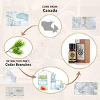 AKARZ Cedar Essential Oil Natural Organic Pure Premium Therapeutic Cedar Oil for Skin Body Hair Care,Diffuser, Candle,Soap,Making, DIY,Massage Aroma 0.34 Fl Oz (10ml)