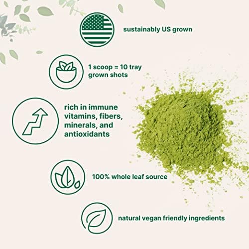 Sustainably US Grown, Organic Wheat Grass Powder (100% Whole-Leaf), 16 Ounce , Rich in Immune Vitamins, Fibers and Minerals, Support Digestion Function, Vegan Friendly