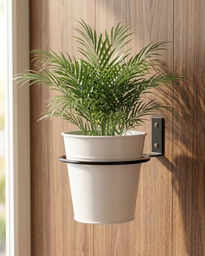 vensovo 6 Pack 6 Inch Wall Mounted Plant Holder - Heavy Duty Metal Flower Pot Hanger Rings - Space Saving Bracket Hooks for Indoor Outdoor Plants Decor, Black