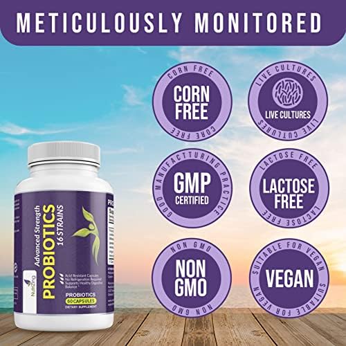 NutriZing Vegan Probiotics for Digestive Health - 30 Billion CFU & 16 strains - Bifidobacterium & Lactobacillus Probiotics for Men & Women - Delayed Release Probiotic Gut Health Supplement