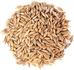 Food to Live Organic Whole Unhulled Barley, 1 Pound - Premium Quality Seeds with Husk Intact. Non-GMO, 100% Natural, High in Fiber. Kosher Grain.