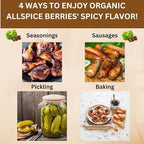 SPICY ORGANIC Pure Organic Allspice Berries Whole 8 oz. – Certified USDA Organic - Premium Pimento Seeds and Peppers for Baked Goods, Pickles, Marinades, Stews, and Sauces.