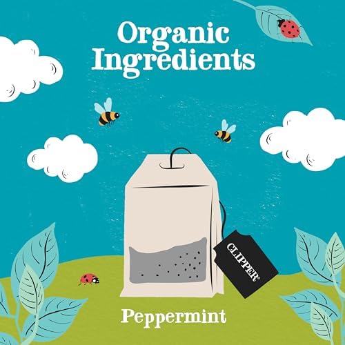 Clipper Tea Peppermint Teabags – Caffeine Free, USDA Organic, Great Hot or Iced – Sweet, Refreshing, Natural, Fair & Delicious Sweet – 250 Tea Bags