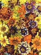 Freeze-Dried Marigold Flowers 0.2 oz | About 20 Edible Flowers | Dried Marigolds for Cake Decoration, Cupcakes, Desserts, Cocktails, Garnish, Baking, Culinary Use, Parties, and Special Occasions