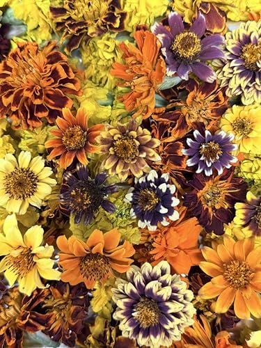 Freeze-Dried Marigold Flowers 0.2 oz | About 20 Edible Flowers | Dried Marigolds for Cake Decoration, Cupcakes, Desserts, Cocktails, Garnish, Baking, Culinary Use, Parties, and Special Occasions