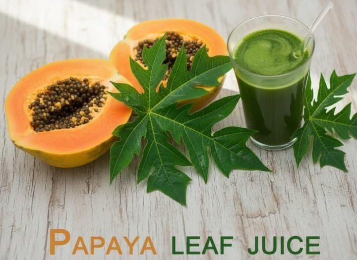 Papaya Leaf Powder Papita Leaf | Pappali Ilai | Carica Papaya - 50 gm