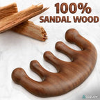 Cozlow Head Scalp Comb - Premium Wooden Massage Comb for Neck & Shoulder - Natural Sandalwood Massager for Soft & Smooth Hair - Wood Therapy Massage Tool for Stress Relief & Muscle Relaxation