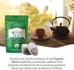 Starwest Botanicals Organic Nettle Leaf Tea - Caffeine Free Herbal Tea, Promotes Calm, USDA Organic Nettle Leaf, String Free Sachets, Non GMO - 20 Tea Bags