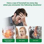 WOTIHA 60 Count Premium Horsetail Tea Bags - 100% Natural Pure Herb, Supports Hair & Nail Health, Caffeine/Additive/Sugar-Free, Non-GMO, Cola De Caballo Hierba