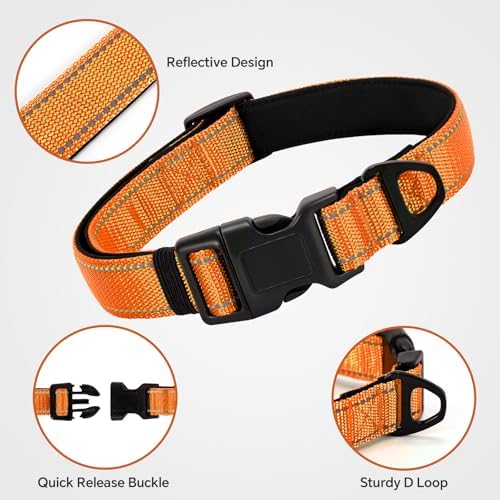 Reflective Dog Collar with Quick Release Buckle - Metal Ring - Adjustable Soft Neoprene Padded Basic Dog Collar for Small Medium Large Dogs (Orange, Medium :Width 1",Neck 13.8-19.6")