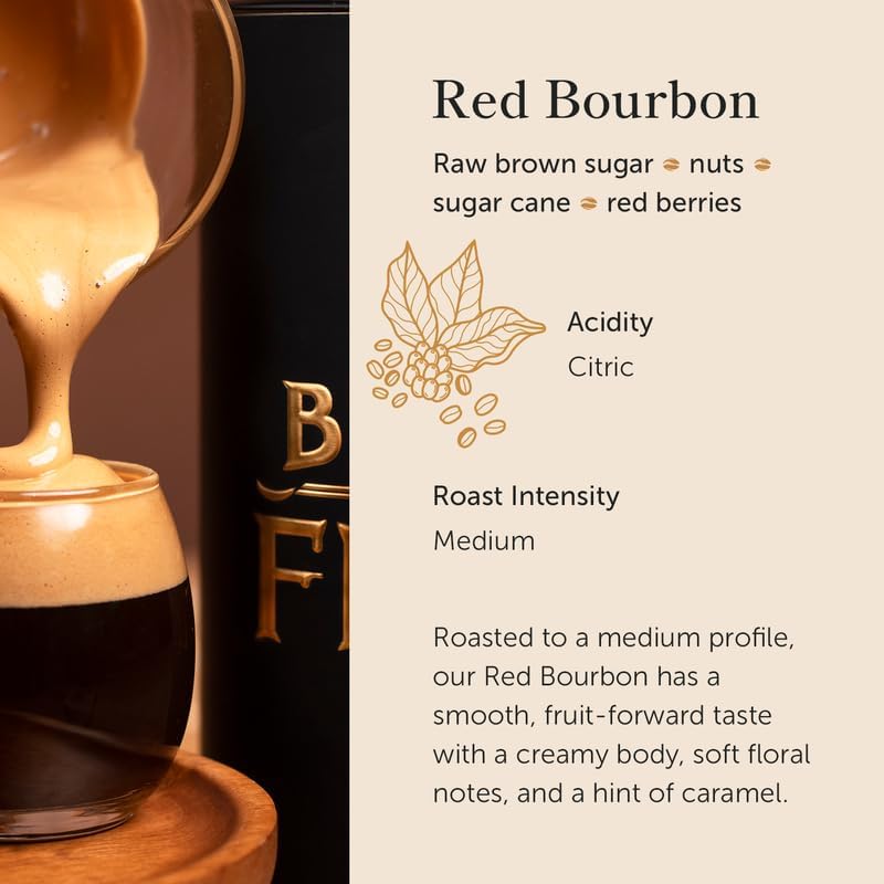 Bean of Fire El Salvador Red Bourbon Honey Ground Coffee – Medium Roast, Single Origin Specialty, Smooth & Fruity Cup (16 oz)