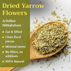 Dried Yarrow Flowers Tea - Natural Yarrow Flower Herb Bulk - Achillea Millefolium Herbs - Loose Leaf Cut and Sifted, 1oz