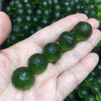 1pcs Natural Moldavite Czech Meteorite Impact Glass Beads Rough Stone Crystal Energy Stone (Color : 12-13mm)