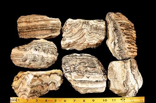 Zebra Onyx 4" 2 Lb Chakra Healing Crystal Rough Rock Mineral Raw Specimen