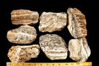 Zebra Onyx 4" 2 Lb Chakra Healing Crystal Rough Rock Mineral Raw Specimen
