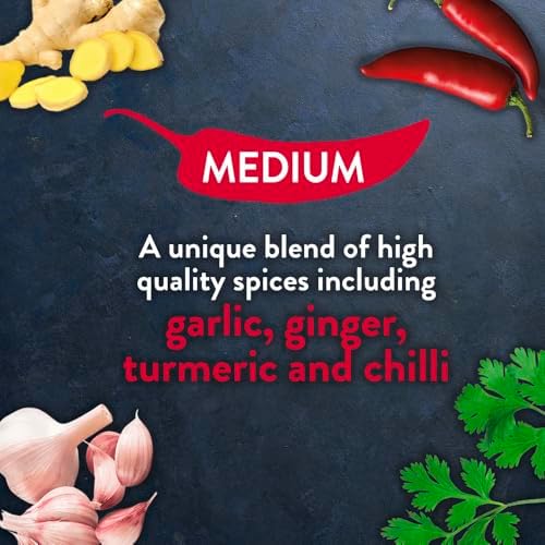 Robertsons Rajah Curry Powder - All in One Garlic Small Box 50g