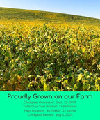 Palouse Brand Certified Glyphosate Residue Free Chickpeas | Garbanzo Beans | 18 lbs | Family Farmed in Washington State | Non-GMO Project Verified | Kosher Parve | USA Grown | Field Traced