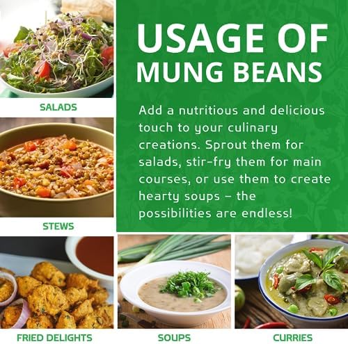 Jiva Organic Mung Bean - Mung Moong Beens Whole for Sprouting and Cooking - 2 lb Bean Bag – Indian Spices