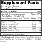 NATURELO Vegan Iron Supplement with Vitamin C and Organic Whole Foods - Gentle Iron Pills for Women & Men with Iron Deficiency Including Pregnancy, Anemia and Vegan Diets - 90 Mini Capsules