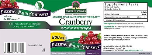 Nature's Answer Cranberry Fruit | Dietary Supplement | Supports Urinary Tract and Immune Systems | Vegetarian, Kosher Certified & Vegan | 90 Capsules | Single Count