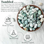 Crocon 1lb Tree Agate Tumble Stones Stones Set Pocket Crystal Healing Gemstones Balancing Tumble Collection Palm Stone Meditation Good Luck Charm Gift Craft Home Decor Size: 20-25 mm 1 LB