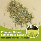 TEARELAE - Lemongrass Tea Bags, 40 Count - Premium Natural Lemon Grass Herbal Tea Bags - Non-GMO - Caffeine-free - Support Healthy Digestion