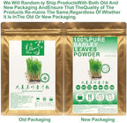 Plant Gift 100% Pure Barley Leaves Powder 大麦若叶青汁粉 Natural Meal Powder, Great Flavor for Drinks, Smoothie, Yogurt, Baking, Cookies and Beverages, Non-GMO Powder - No Filler, No additives 100G/3.25oz
