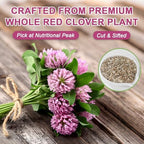 Fullchea - Red Clover Tea Bags, 50 Teabags - Pure Red Clover Herb - Non-GMO - Caffeine-Free - Rich in Antioxidants & Supports Wellness