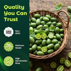 100 Heirloom Cucamelon Seeds for Planting – Mexican Sour Gherkin, Mouse Melon, Fast-Growing Vine, High Germination, Ideal for Home Garden & Container