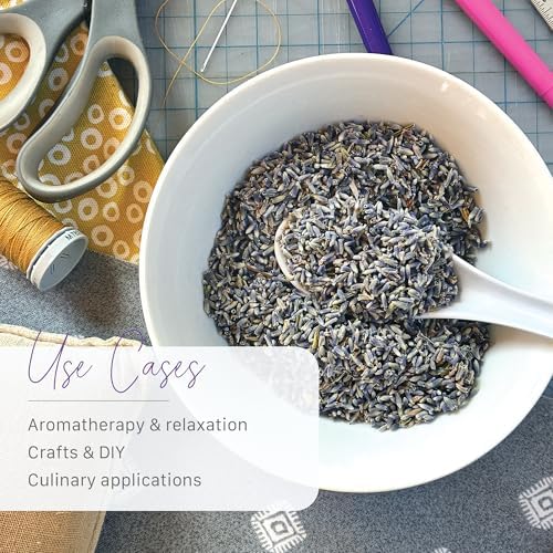 French Lavender Buds Natural Dried Flowers Wholesale, High-Altitude, Made in the USA, Ultra Blue Grade - 1/2 Pound
