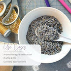 French Lavender Buds Natural Dried Flowers Wholesale, High-Altitude, Made in the USA, Ultra Blue Grade - 1/2 Pound