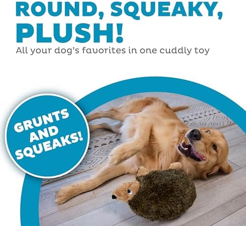 Outward Hound Hedgehogz Stuffed Dog Toy – Soft Plush Hedgehog, Grunts & Squeaks, Large, 12" x 6" x 7"