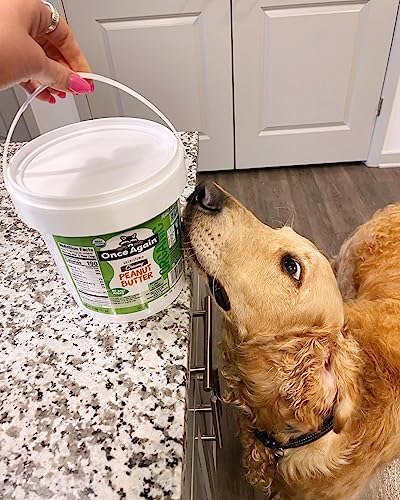 Once Again Organic Creamy Peanut Butter, 5lb Pantry Pal (same as 5 jars) - Salt Free, Unsweetened - USDA Organic, Gluten Free Certified, Vegan, Kosher