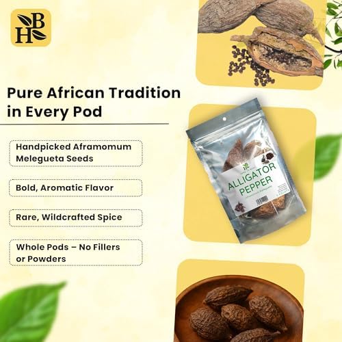 Herb To Body Alligator Pepper African – 5 Pieces, Wildcrafted Alligator Pepper from Nigeria for African Cooking and Traditional Use